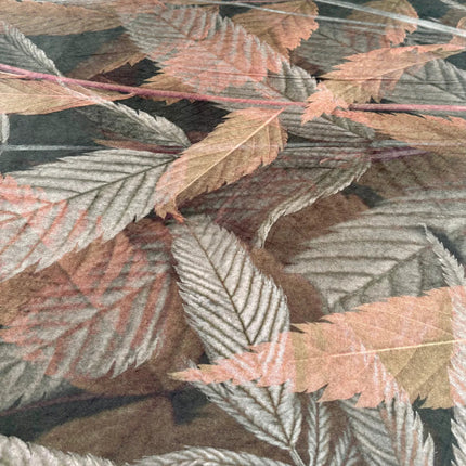 Collection image for: Otoño