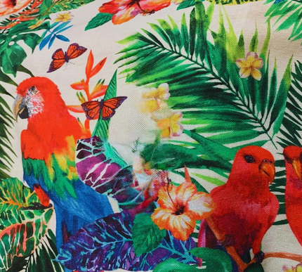 Camino Tropicales de Loro