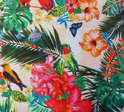 Camino Tropicales de Loro